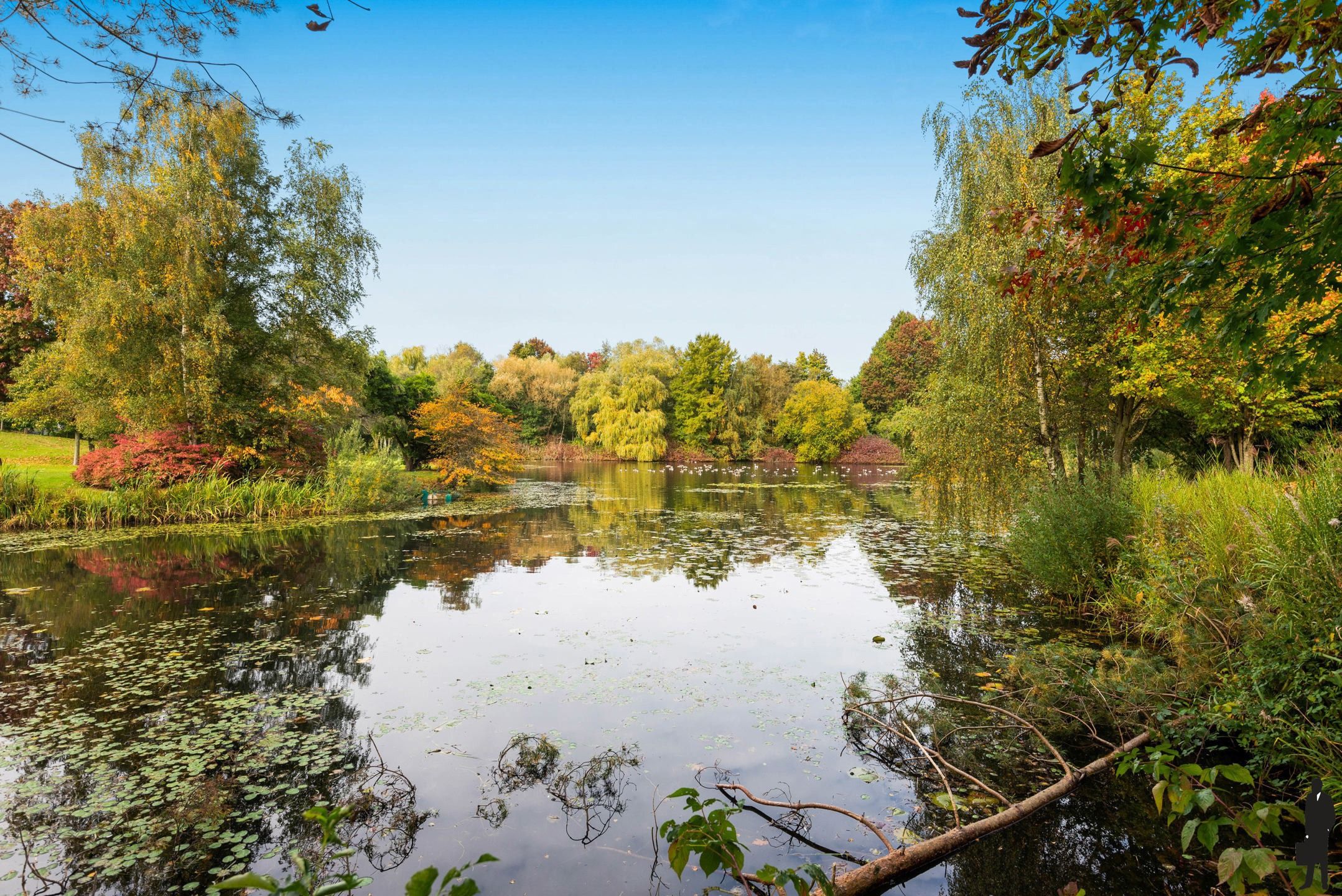 Kasteelhoeve op een landdomein van ca 6ha. foto 6