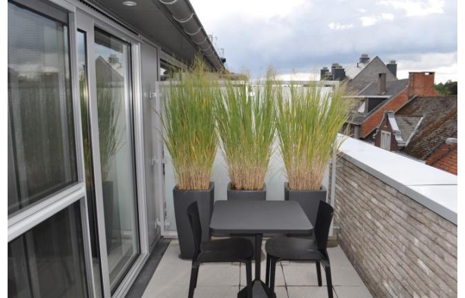 STIJLVOL EN KWALITATIEF 2 SLAAPKAMER APP IN CENTRUM BILZEN foto 3