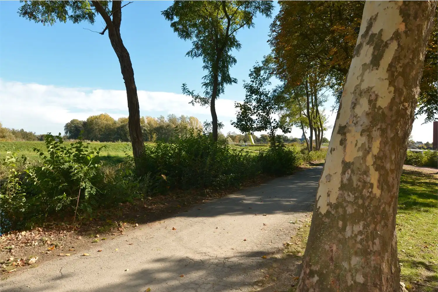 Opbrengsteigendom foto 6