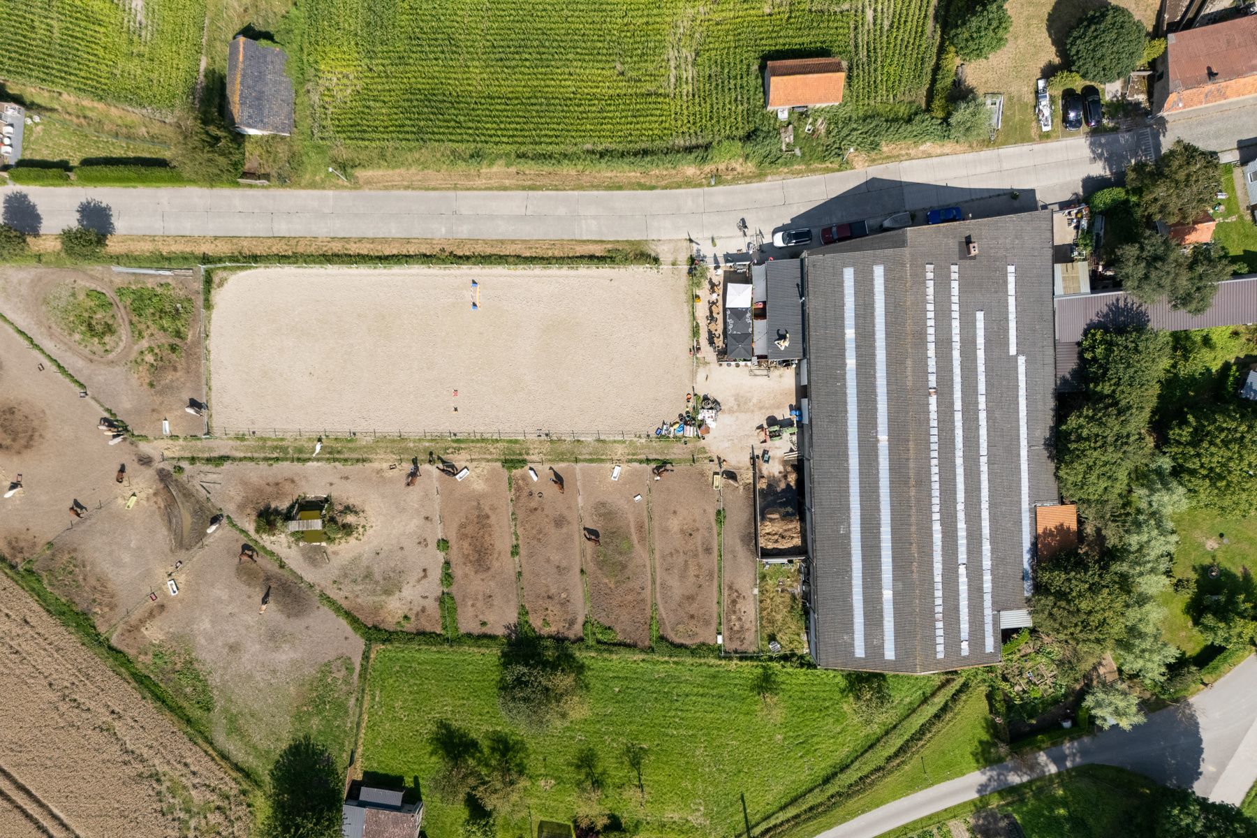 Charmante paardenmanège met woonruimte en gezellig café in Varsenare foto 1