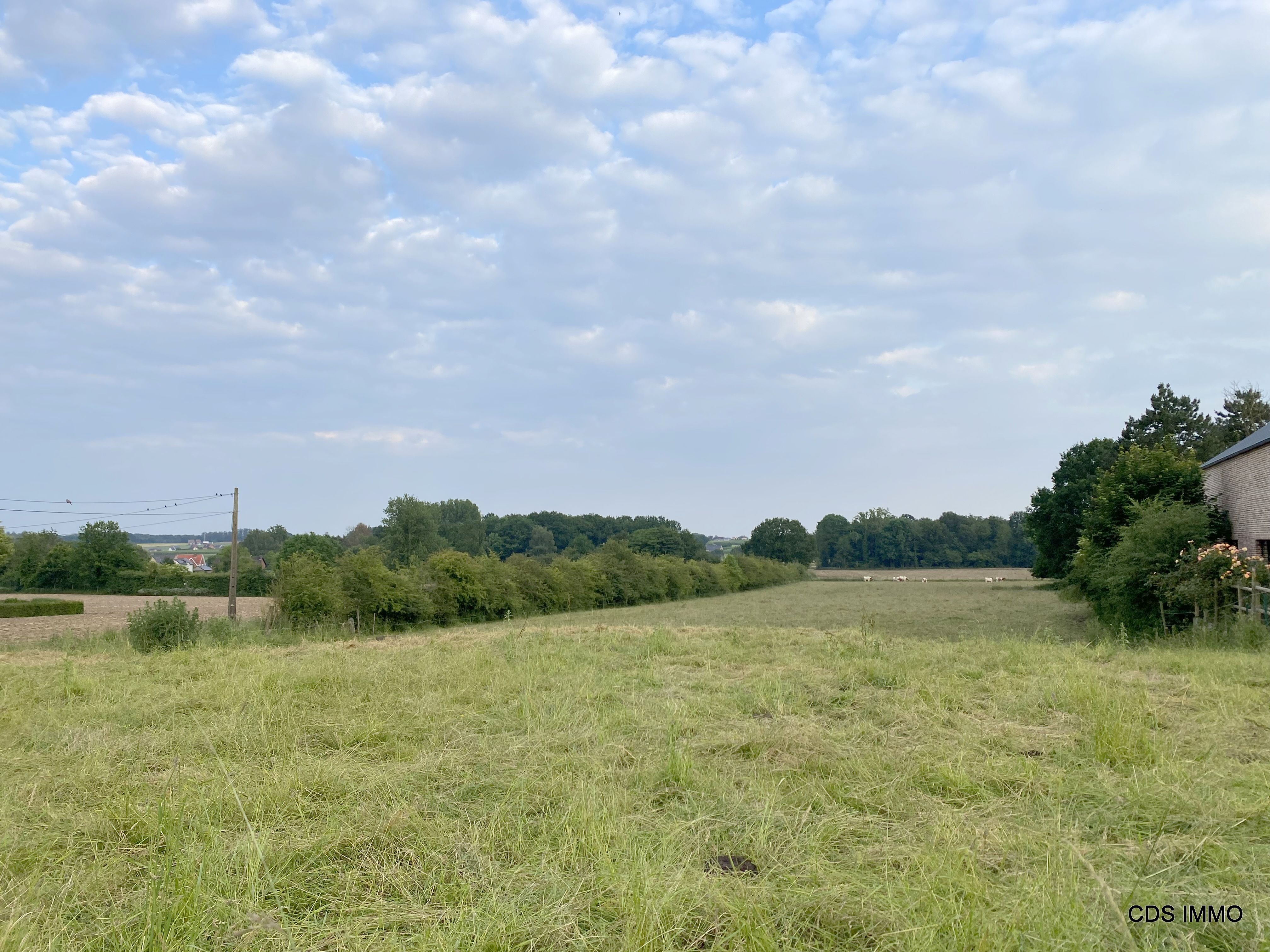 Zeer landelijk gelegen VILLABOUWGROND met een opp. van 11,49 are foto 4