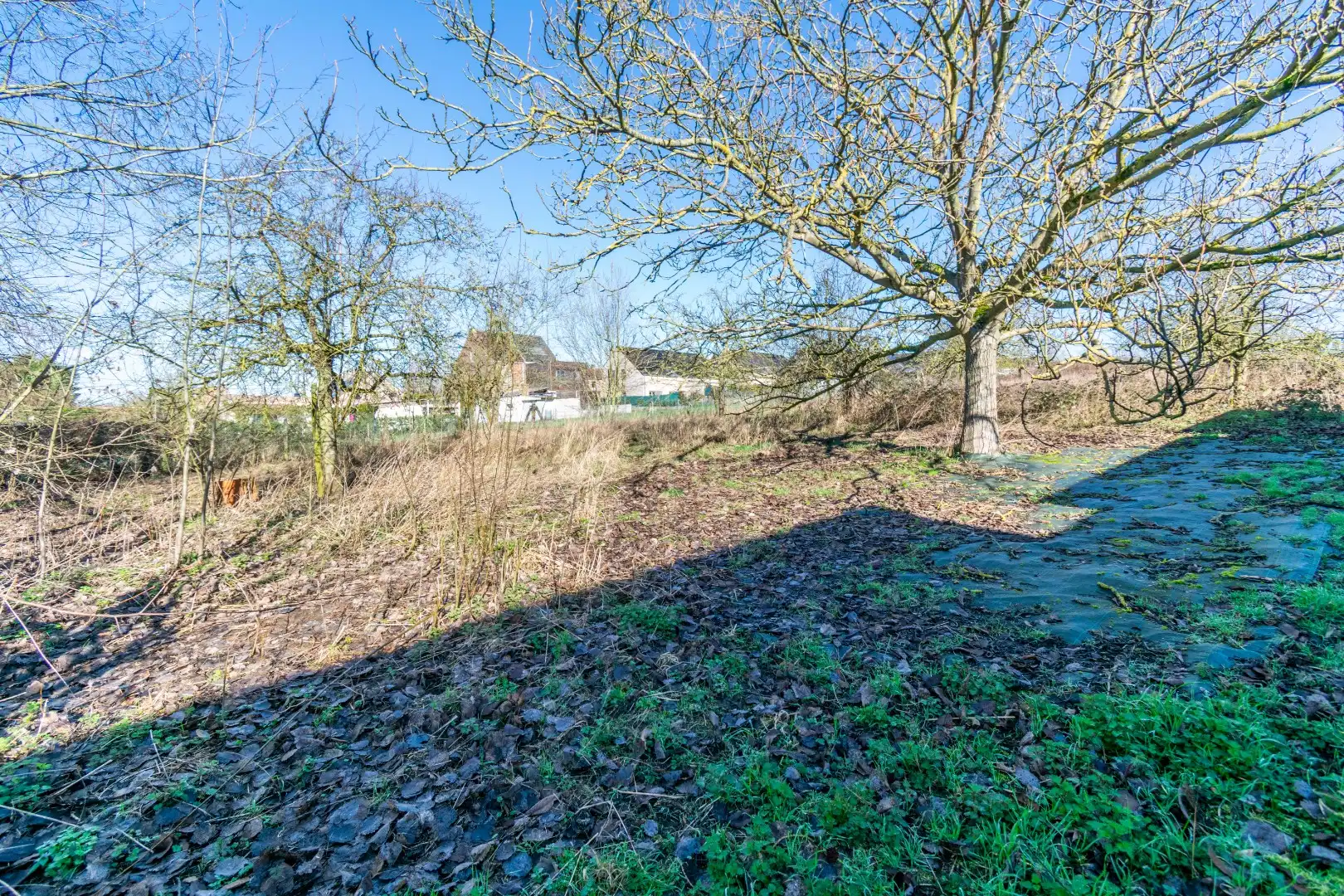 GERESTAUREERDE FERMETTE MET 5SLP OP 31ARE! foto 25