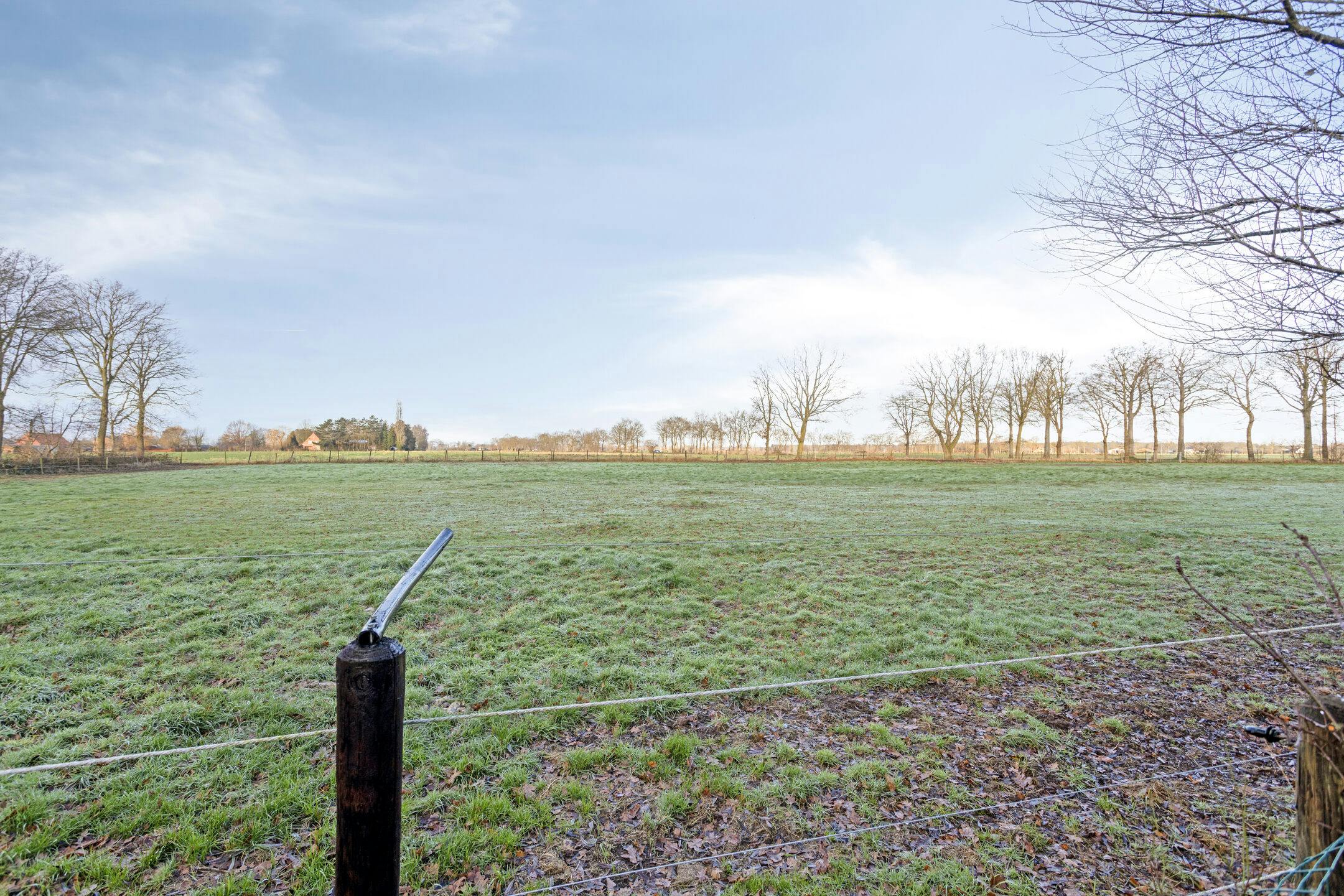 Uitzonderlijk gelegen huis (14.953m²) langs Haantjesveld te Maldegem foto 5