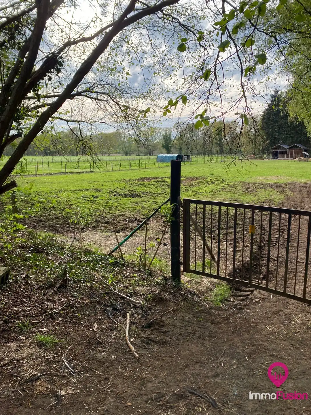 Landelijke weide voor dieren- en natuurliefhebbers! foto 13