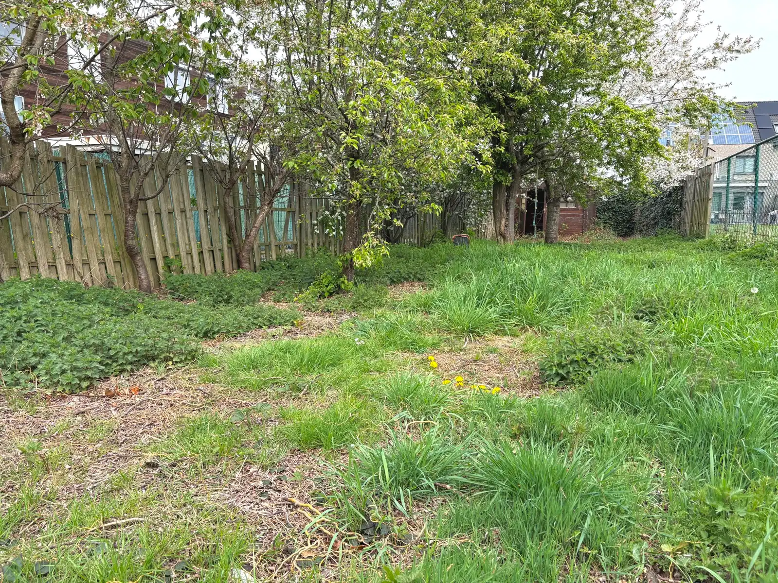 WSB-immo: te renoveren woning op 6a60ca foto 17