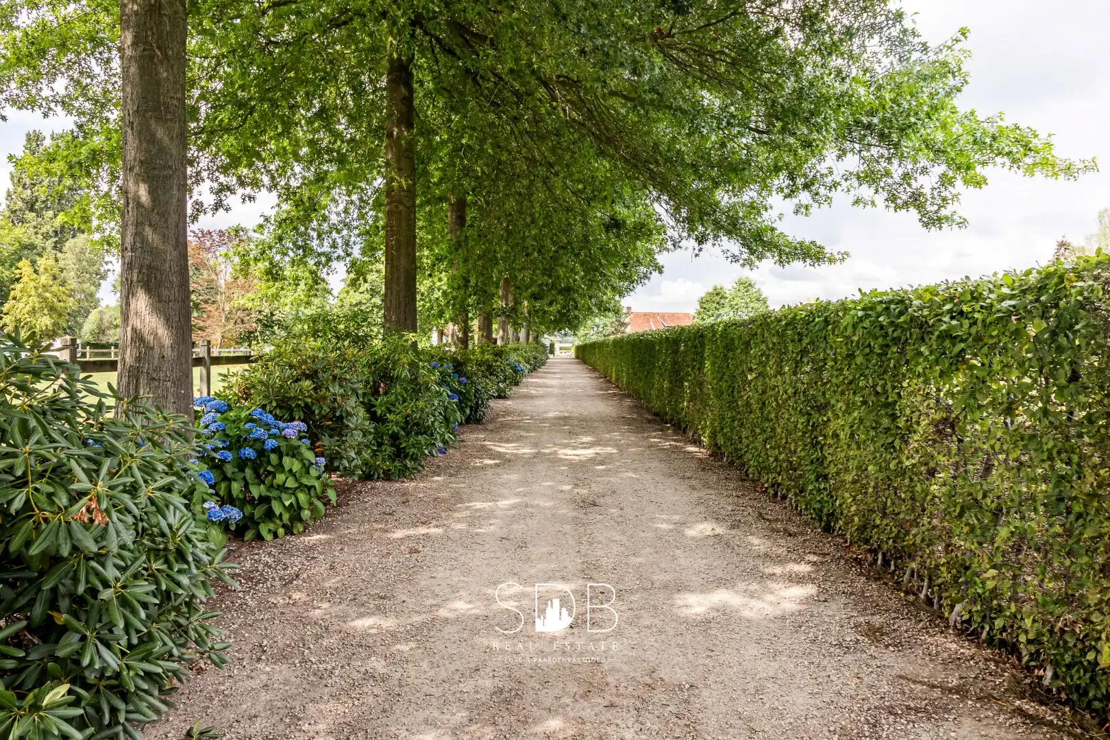 Prachtige landelijke villa met gezinstuin en graslanden op 32.558m² foto 4