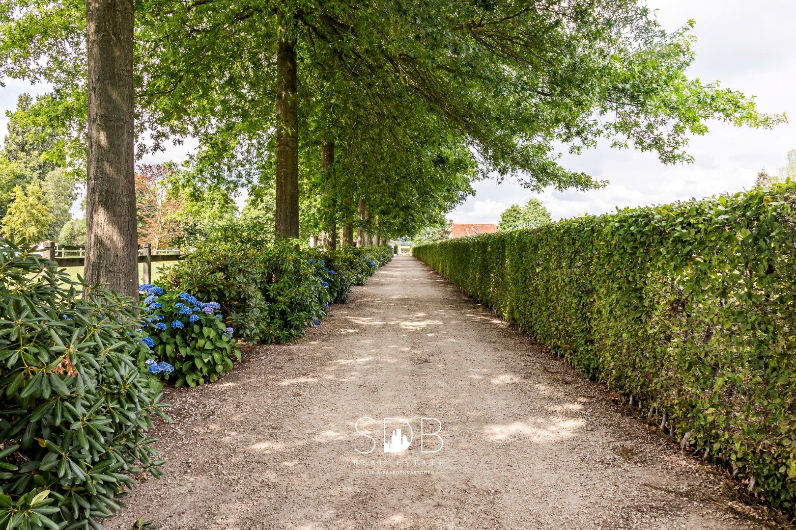 Prachtige landelijke villa met gezinstuin en graslanden op 32.558m² foto 4