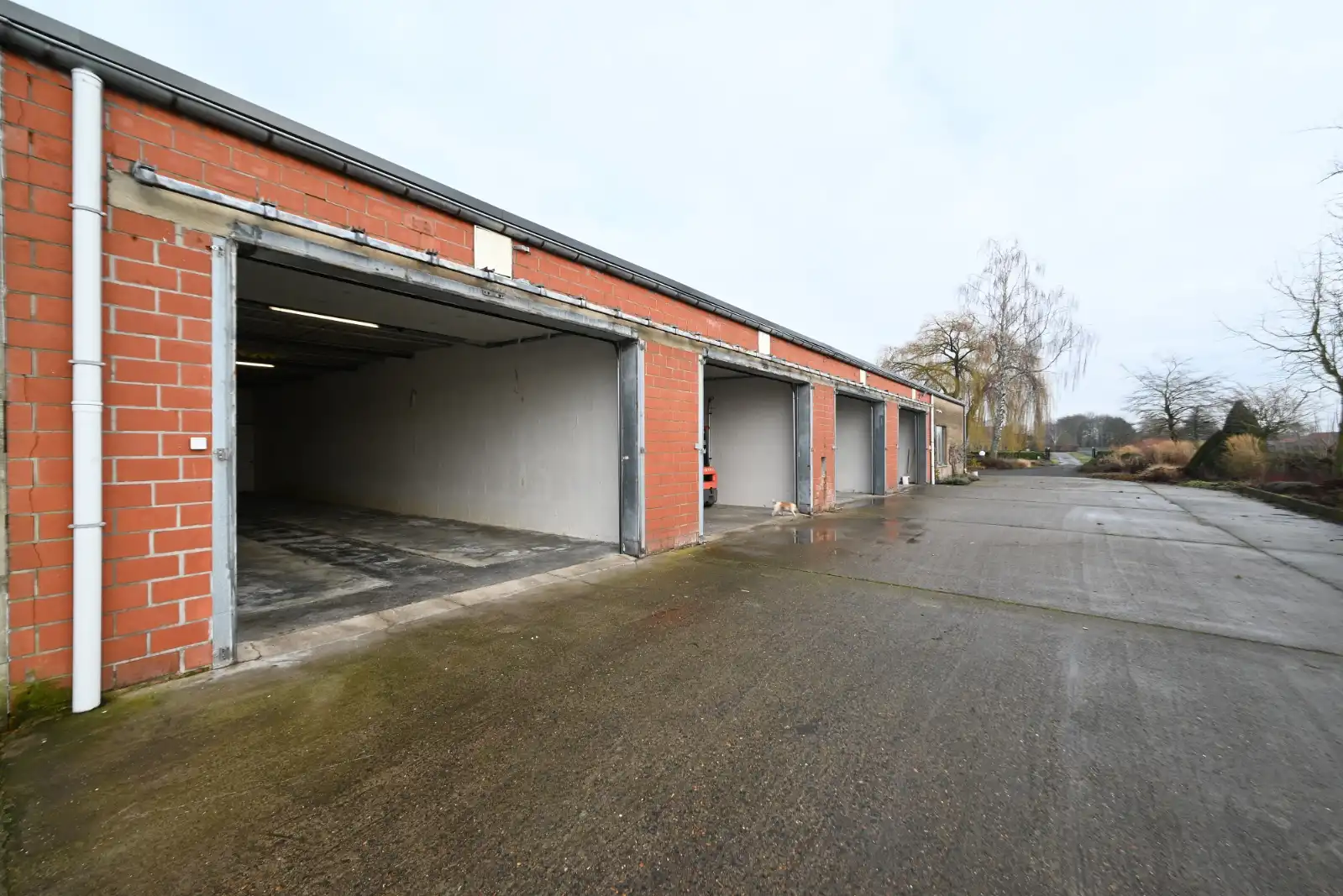 Landelijk gelegen opslagruimte van 106m2 te Ardooie! foto 4