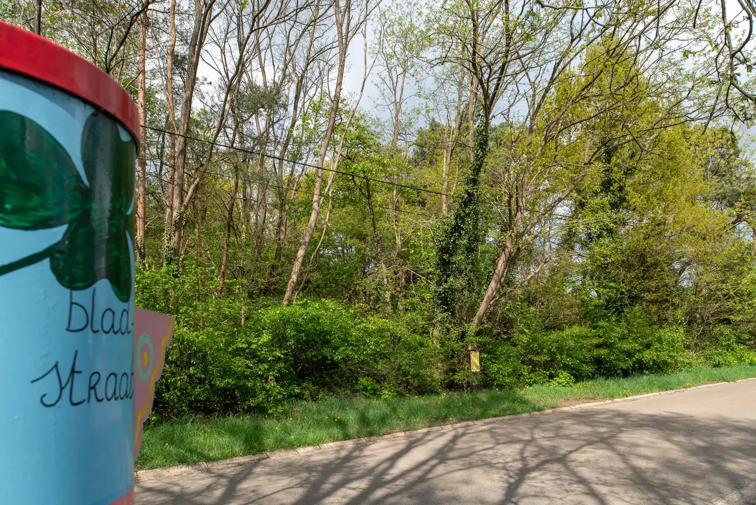 Mooie bouwgrond voor open bebouwing: LOT 1 foto 7