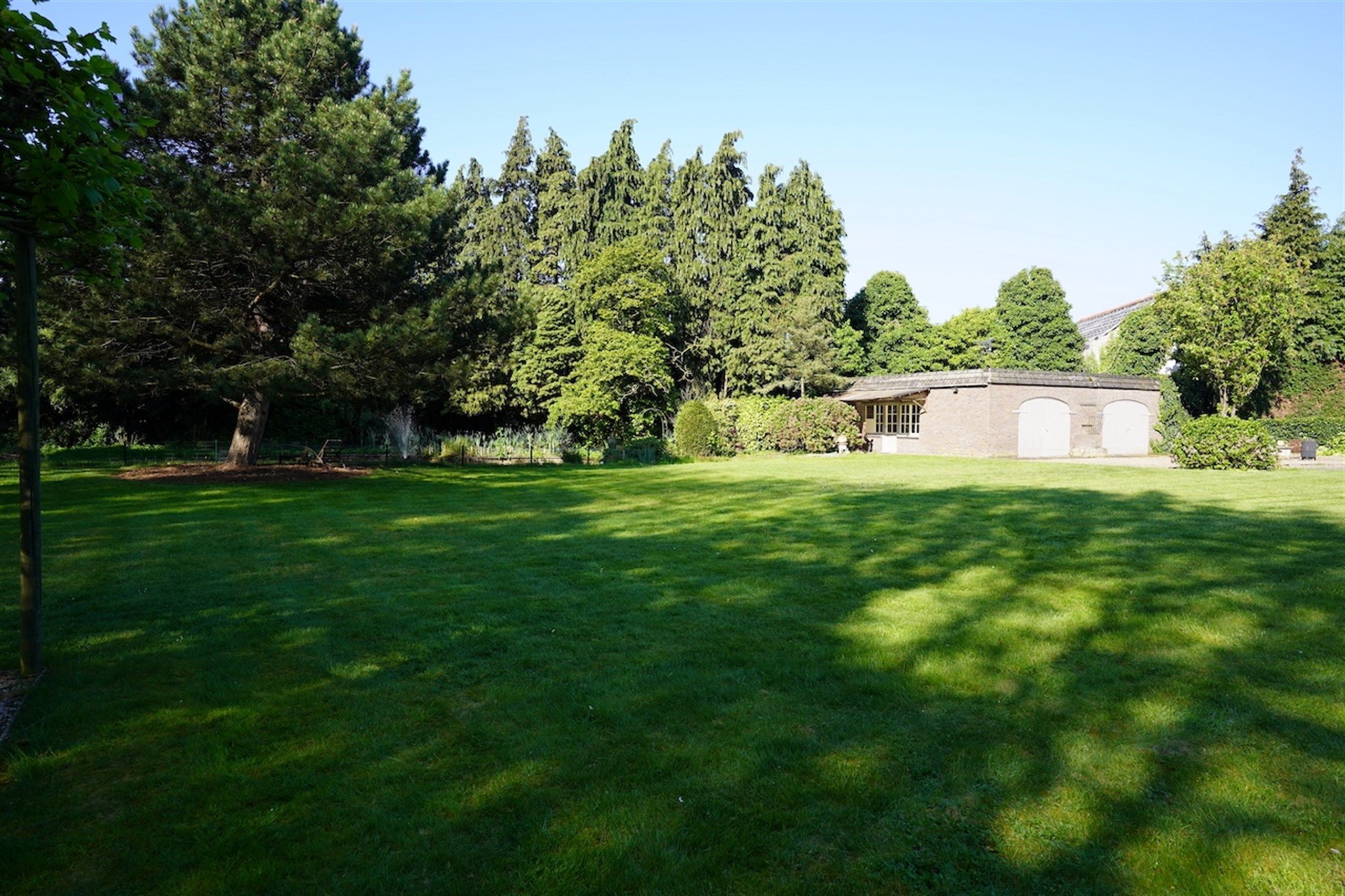 Opportuniteit! Eigendom op 1 Ha met buitengewone privileges foto 8