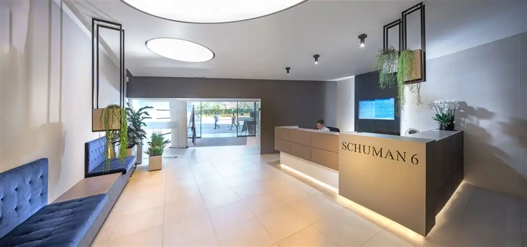 SCHUMAN 6 - 1.077m² te huur foto 4