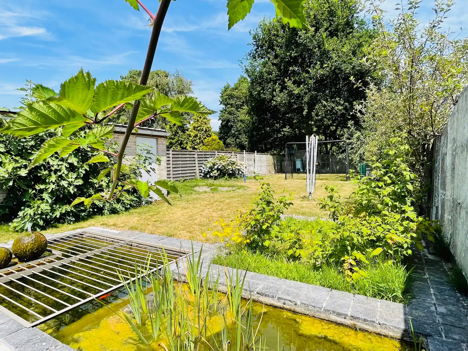 Huis te koop foto 19