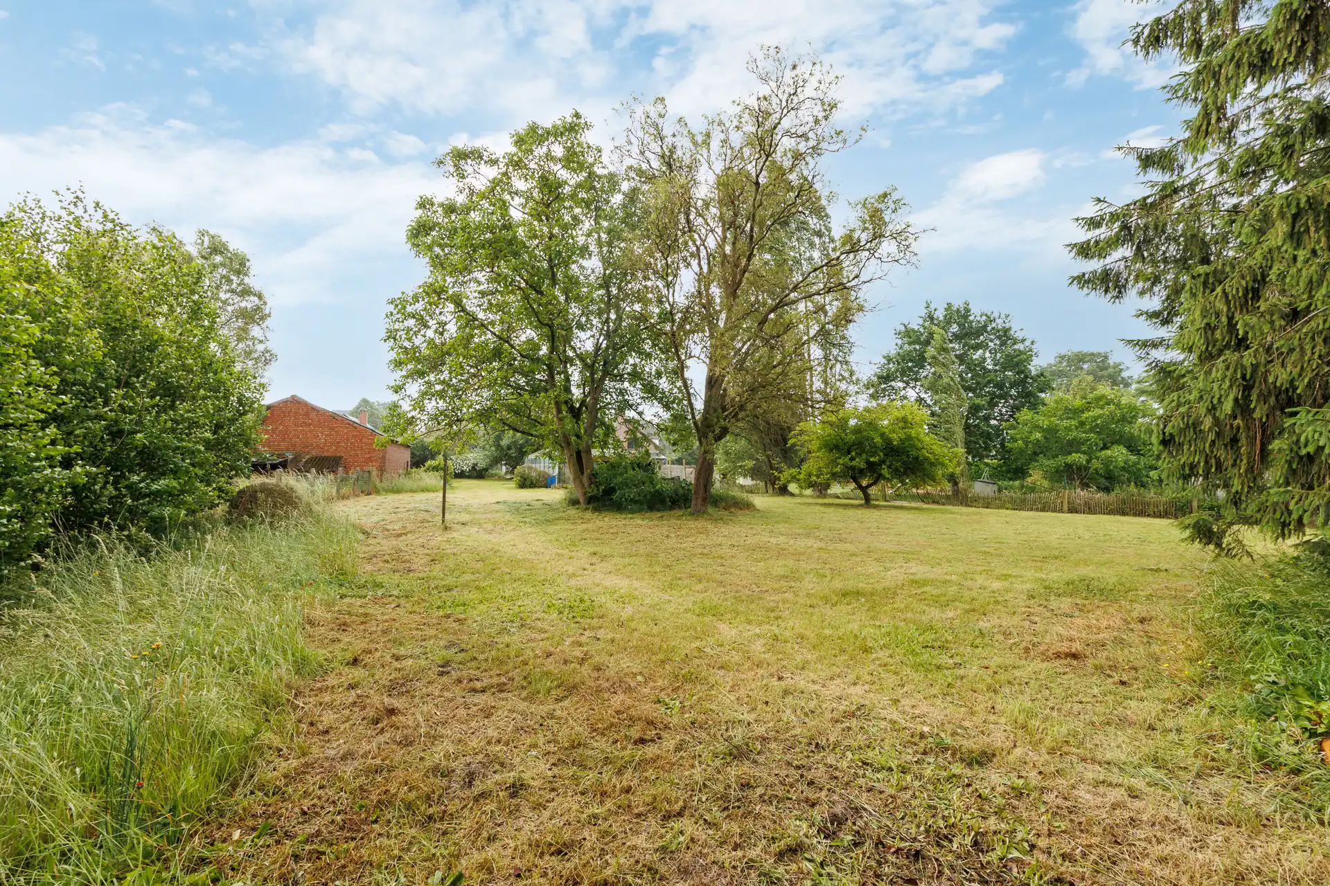 Unieke kans: Riant perceel (5.526 m²) met mogelijkheden foto 9