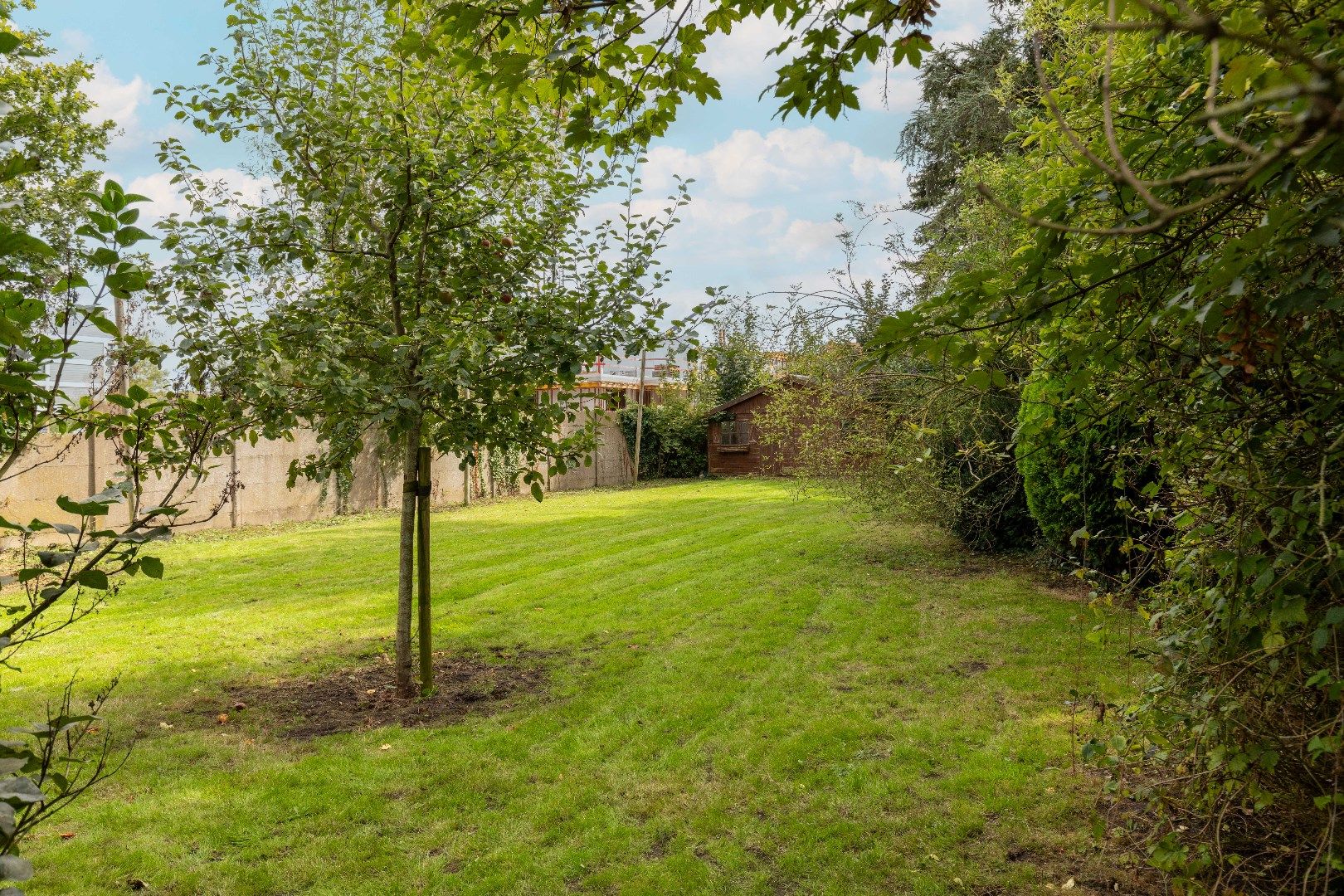 Karaktervolle, gerenoveerde en super energiezuinige woning met bureel, grote loods van 377m² en zonnig tuin nabij de Dampoort. foto 27