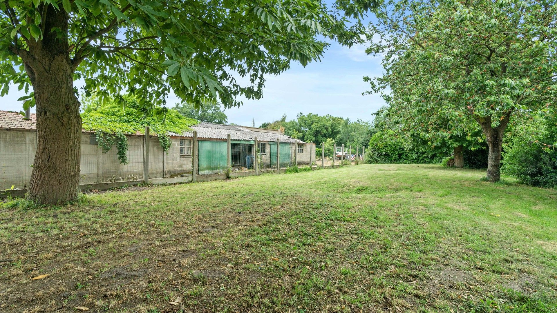 Instapklare en energiezuinige woning op 9a 18ca te Niel-bij-As foto 28
