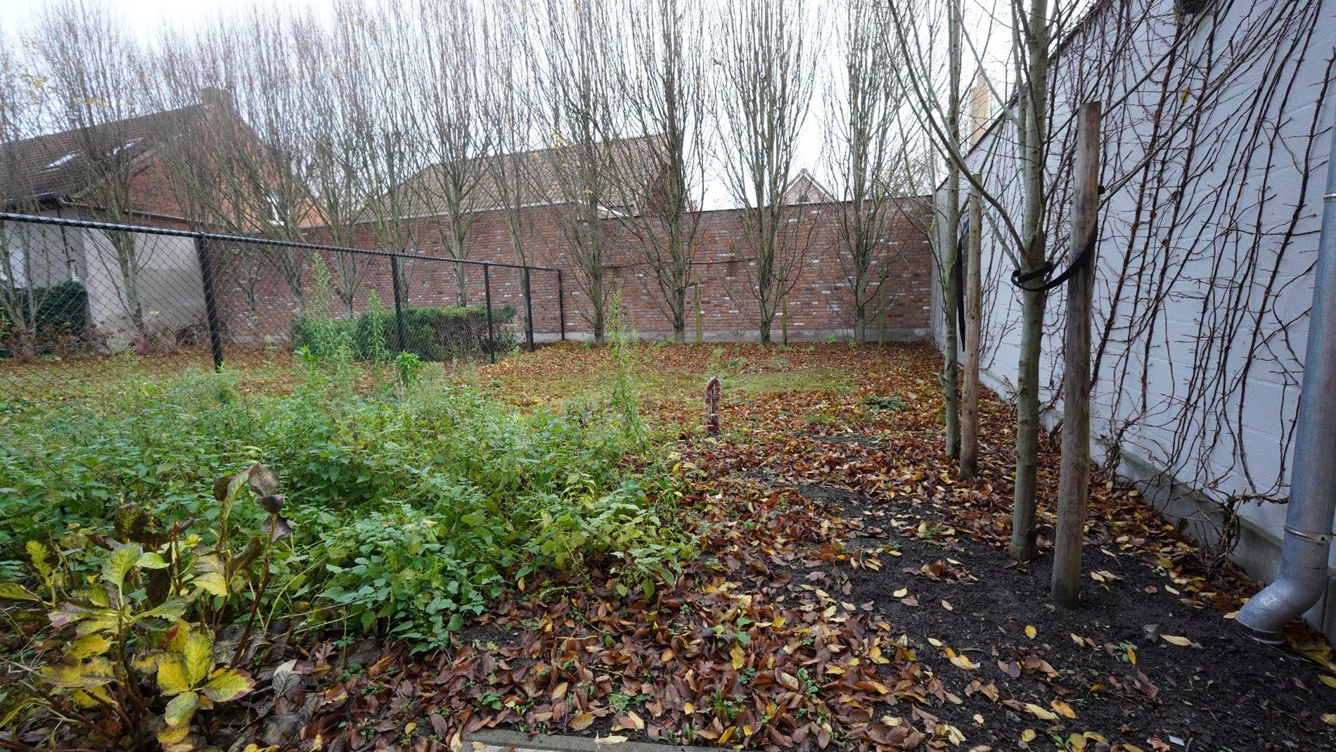 Gelijkvloers appartement met tuin te Zele foto 10