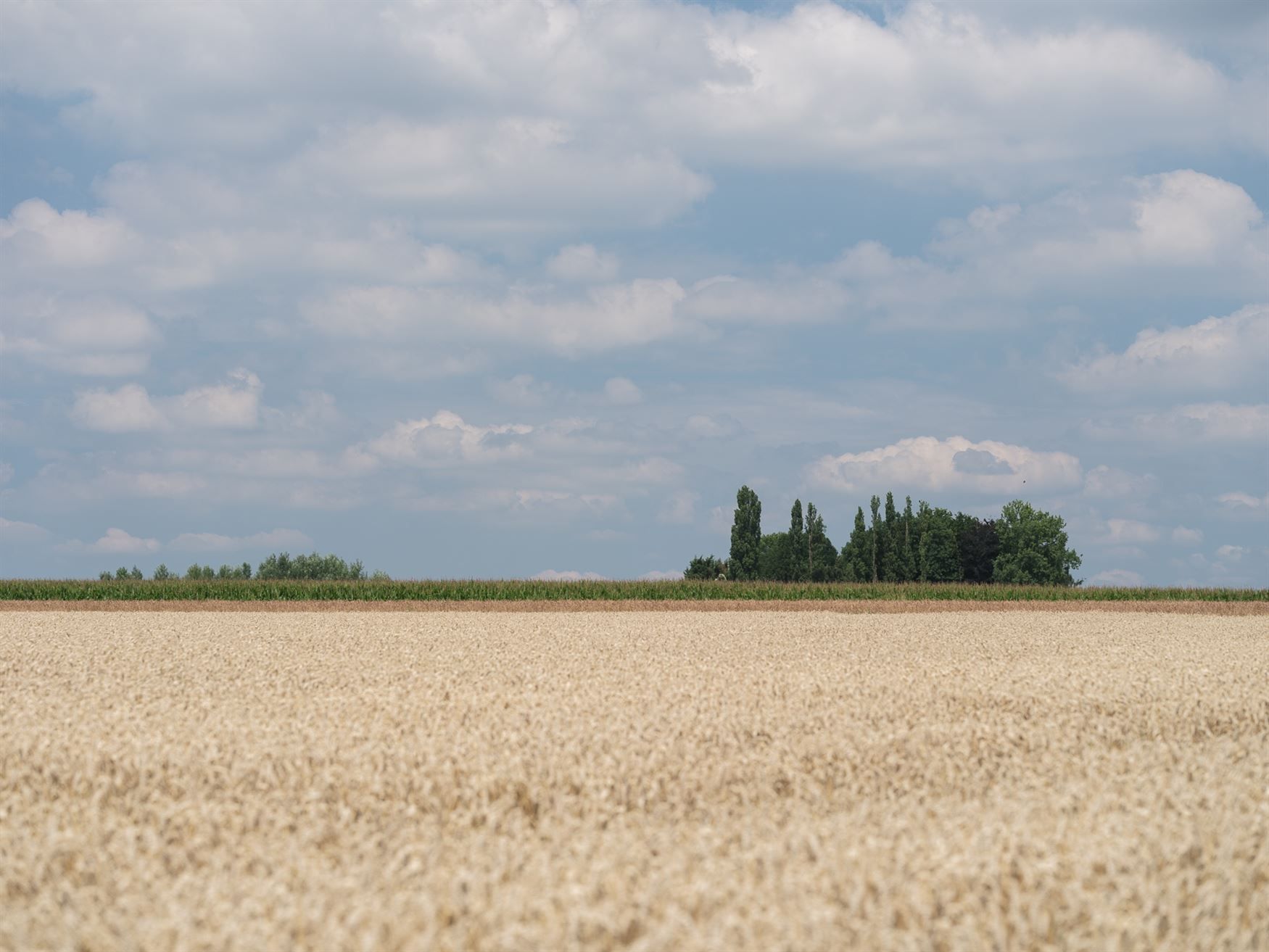 Charmant wonen op een buitengewone plek foto 4