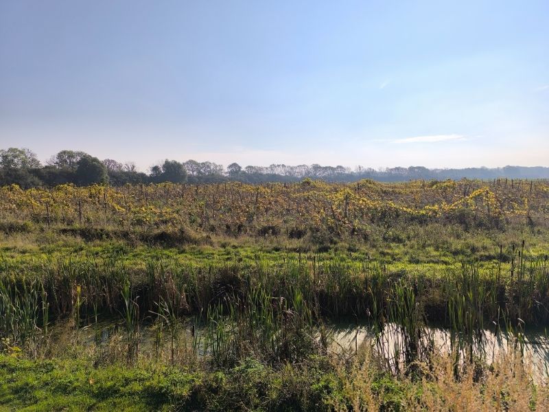 Hoeve foto 14