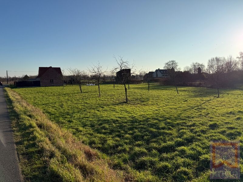 Gerenoveerde vrijstaande woning op 2880m²! foto 4