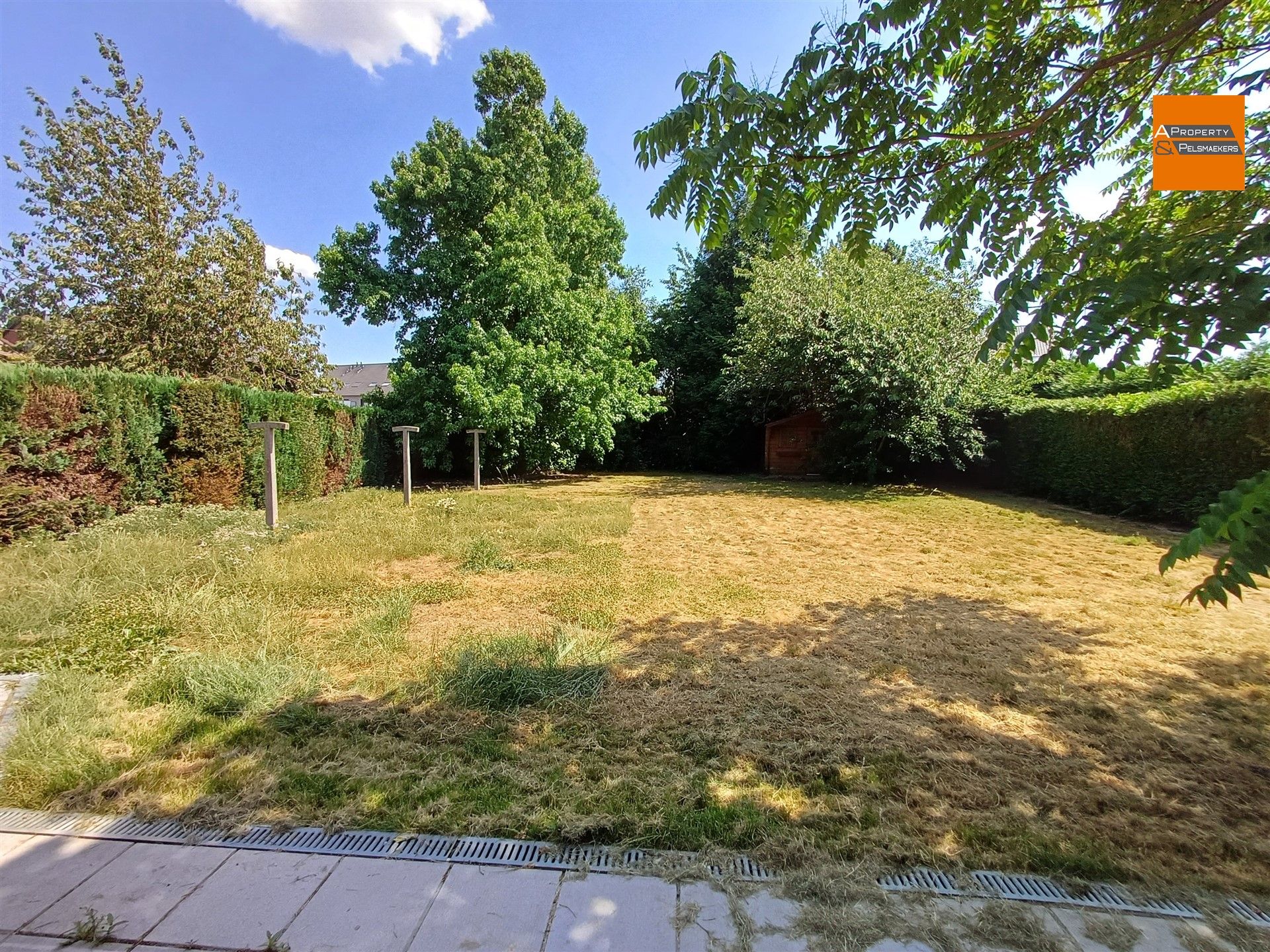 Ruime villa  met 5 slpk, garage en grote tuin foto 4
