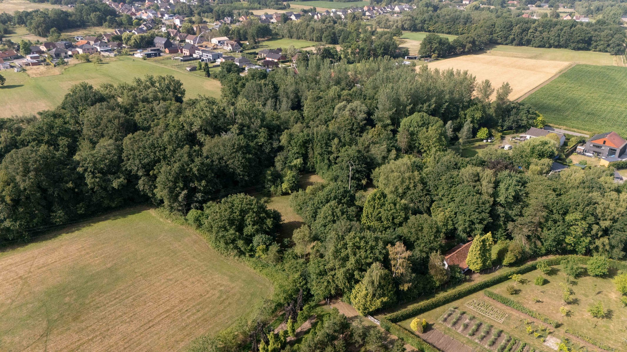 Unieke hoeve op domein van 1,5 ha – pure rust en natuurbeleving in het groen foto 3