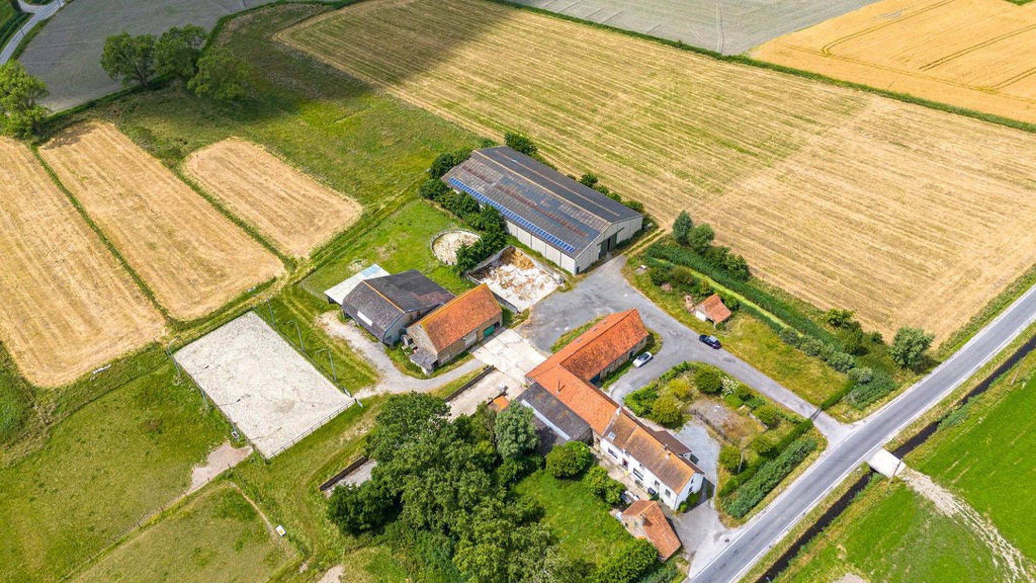 HOEVE met NIEUWE VERGUNNING voor PAARDENFOKKERIJ foto 15