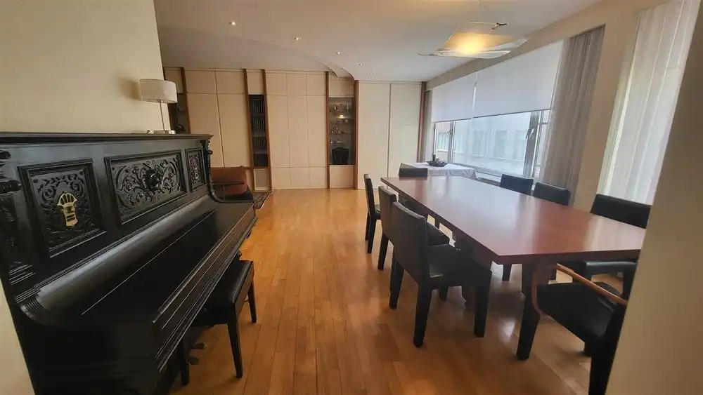 Ruim appartement (183m²) te Antwerpen-Centrum foto 5