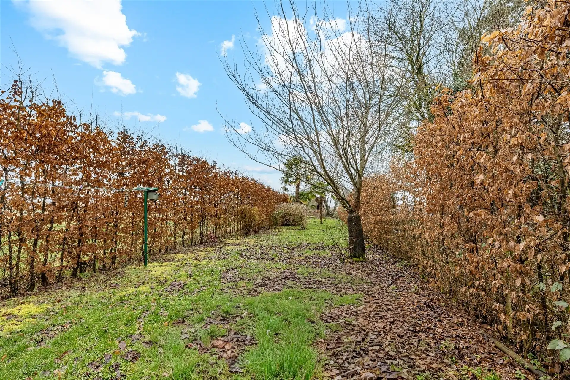 Gezellige woning met 3 slpks op een perceel van 7a 4ca foto 2