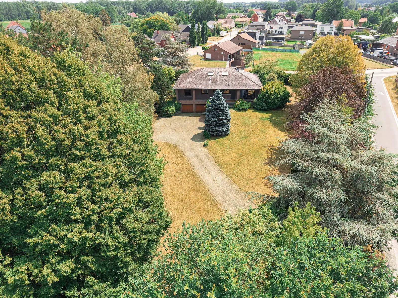 Prachtige renovatiewoning met zeldzame groene ligging foto 4