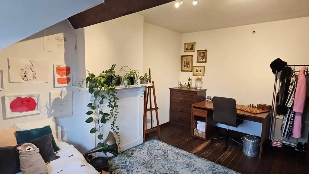 Huis te koop foto 40