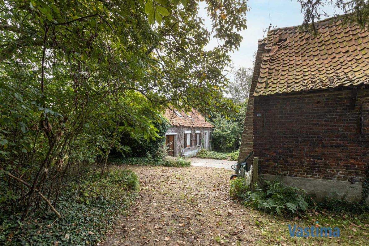 Charmant hoevetje met schuur in een groene oase foto 21