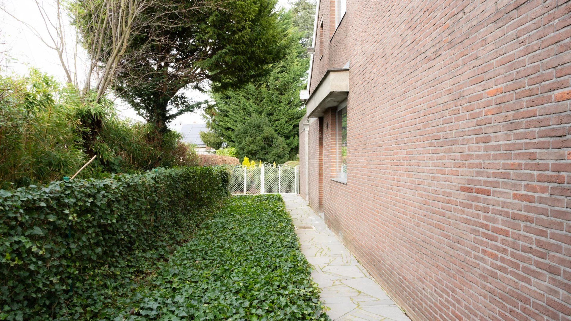 Prachtige woning centraal gelegen te Vissenaken foto 3