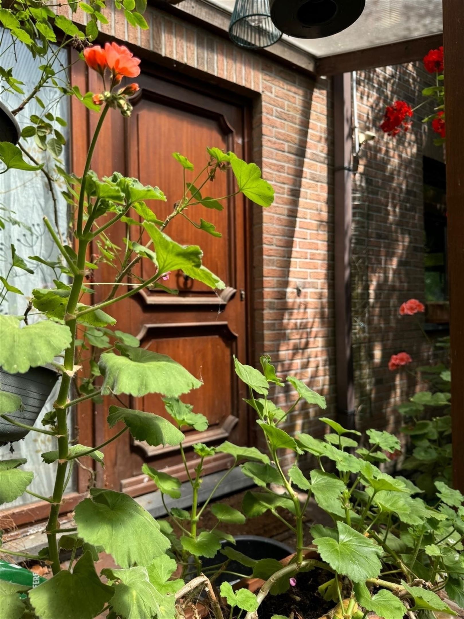 Karaktervolle half open villa met grote tuin 1.189m² in een rustige straat. foto 8