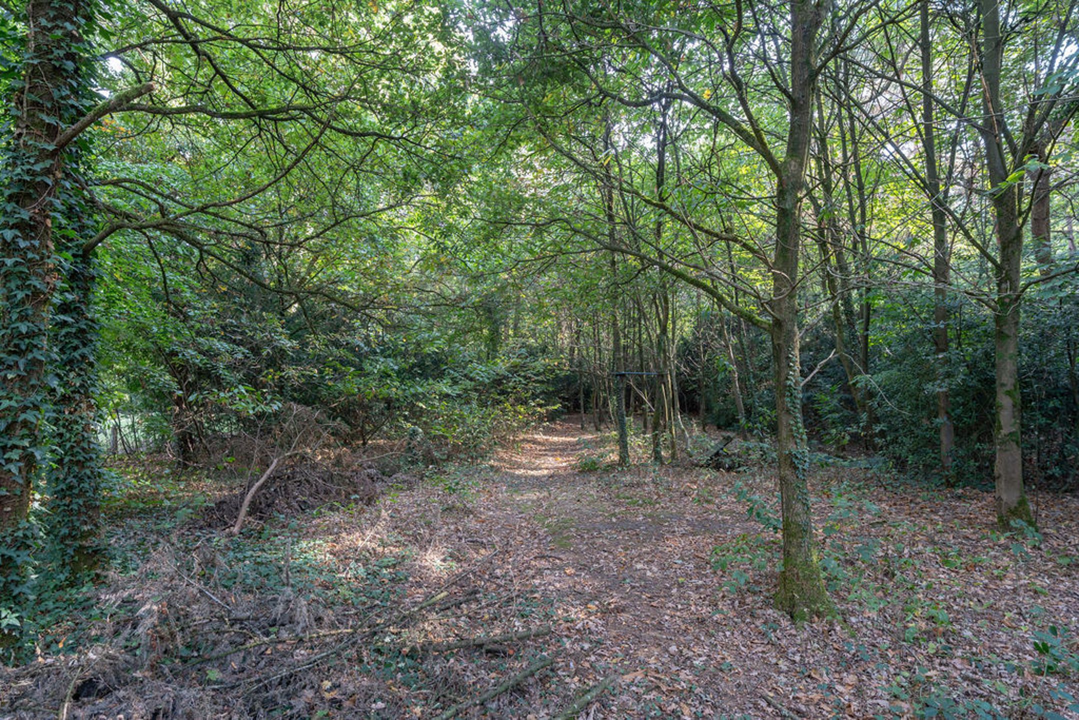 Bouwgrond / grondig te renoveren woning op 3.250m² grond. foto 14