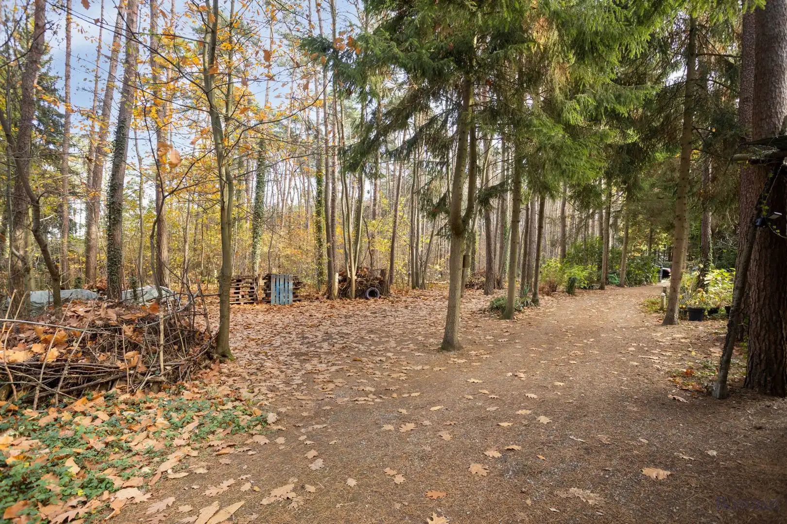 Vakantieverblijf te koop op Konijnepad in Tessenderlo foto 13