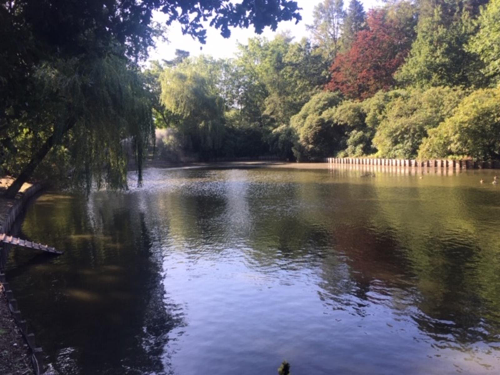 Villa in een oase van groen met zicht op waterpartij foto 15