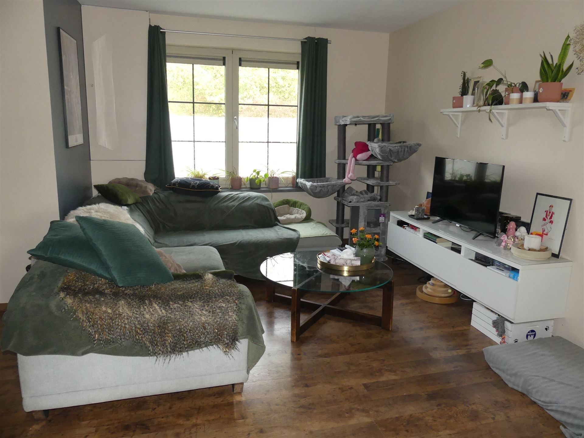 Charmante woning met gezellige tuin! foto 6