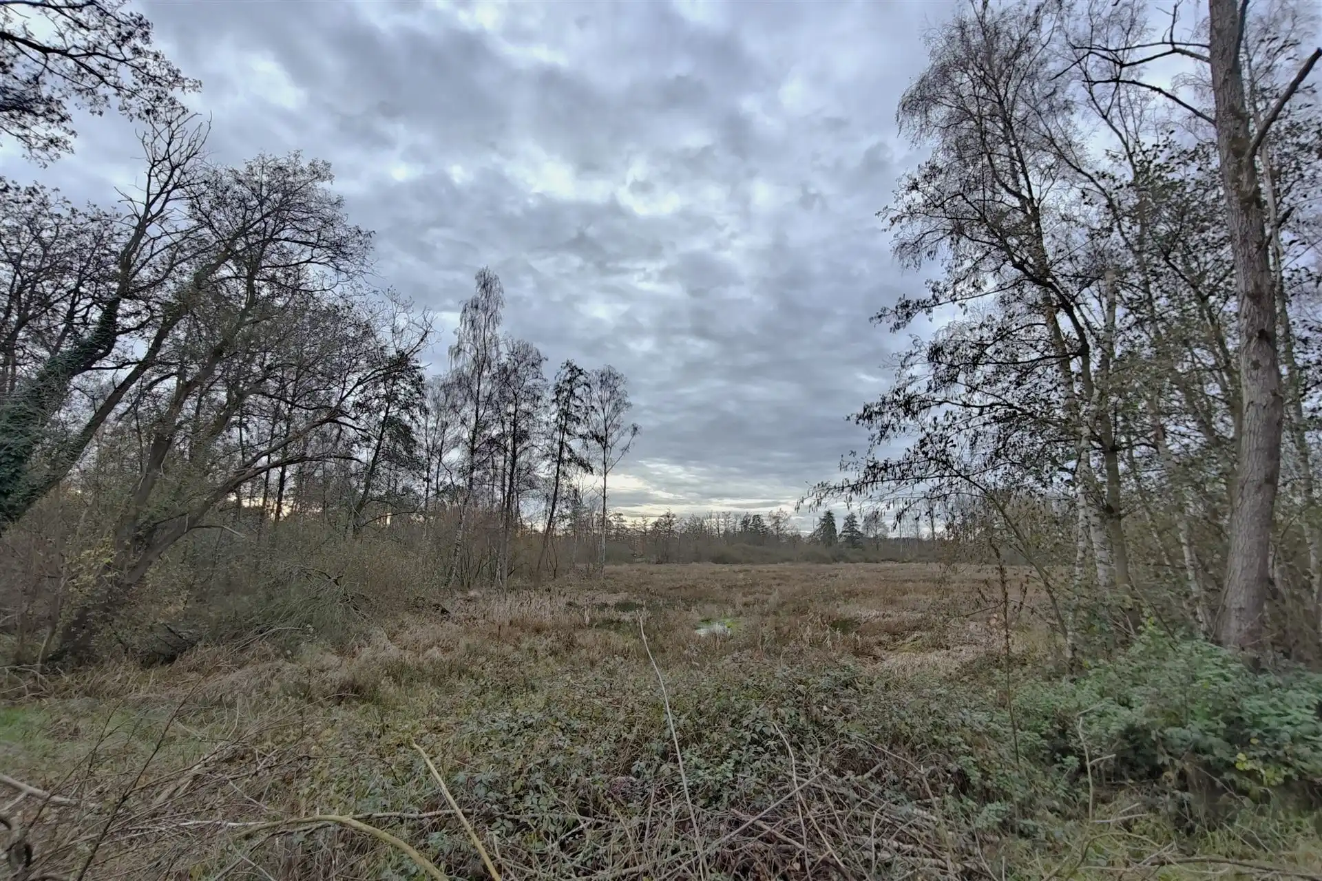 Unieke deels gerenoveerde woning met loods (205m²) en privaat bos op 24a80ca in het rustige Zelem (Halen) foto 12