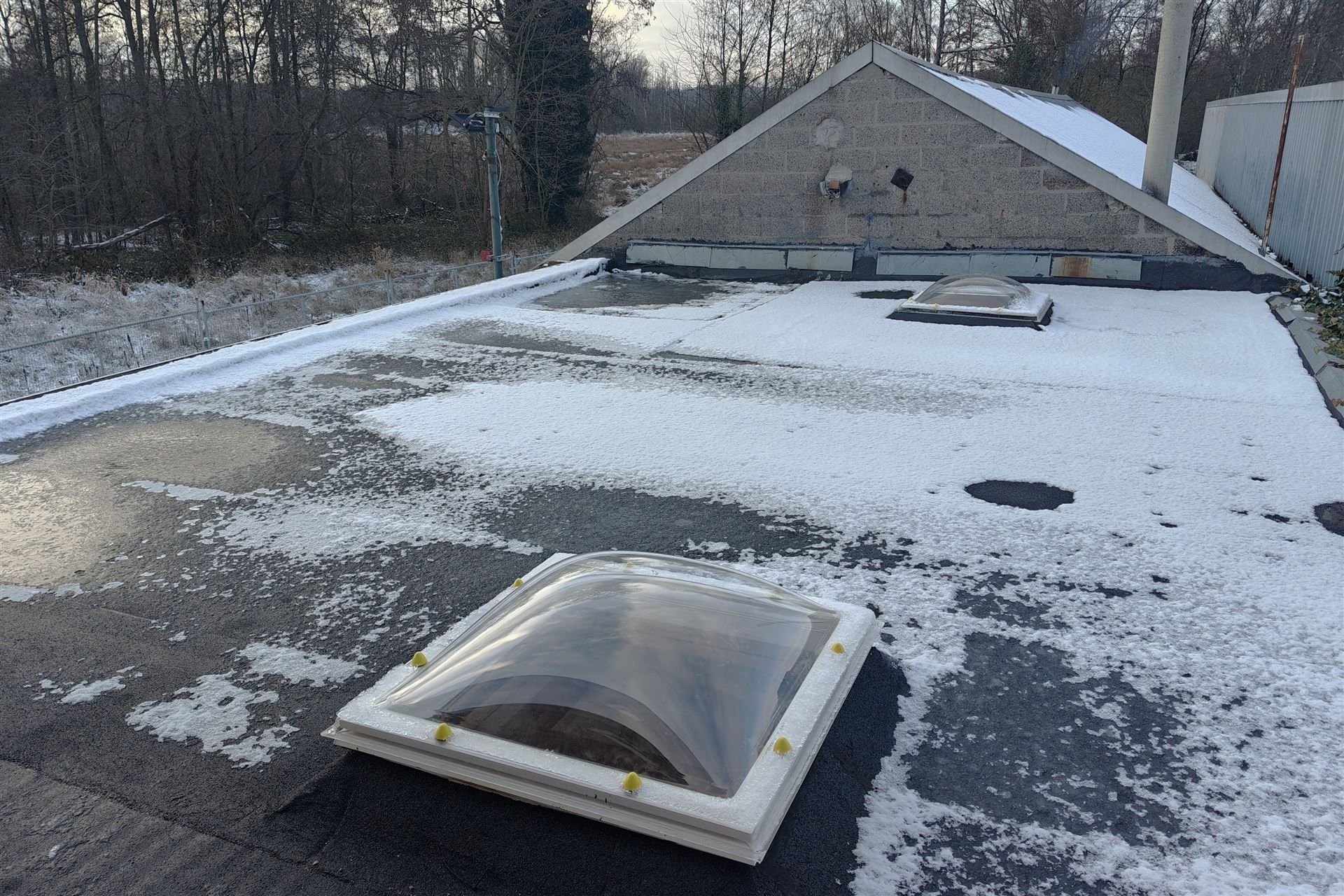 Unieke deels gerenoveerde woning met loods (205m²) en privaat bos op 24a80ca in het rustige Zelem (Halen) foto 12