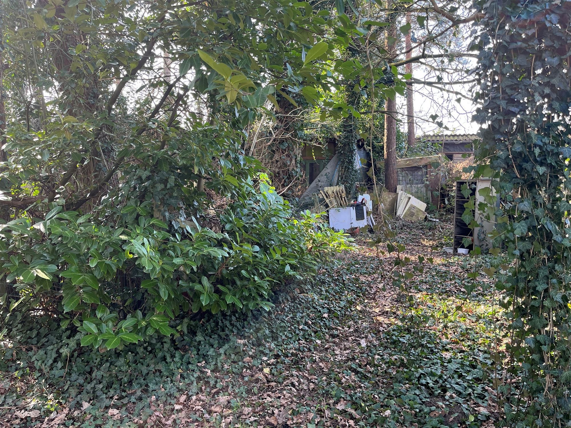 Te renoveren chalet / vakantieverblijf op 558 m² in het bos foto {{pictureIndex}}