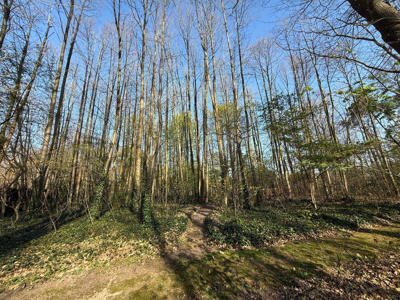 Residentiële bouwgrond op toplocatie foto 4