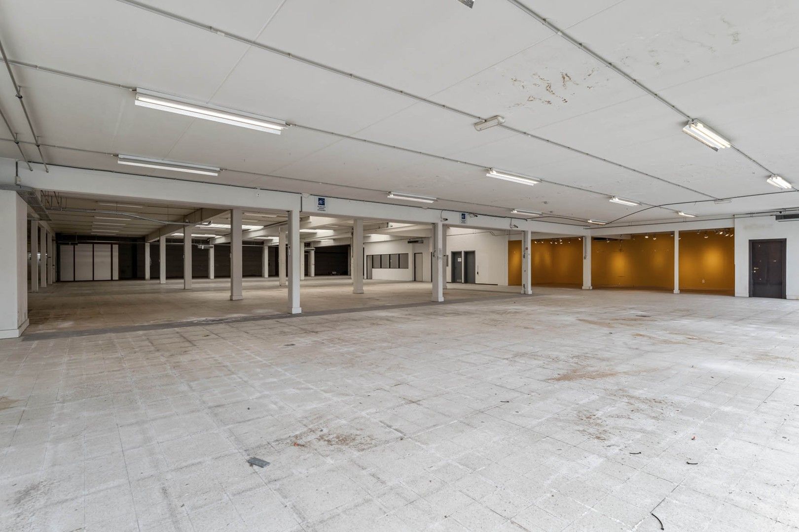 Bedrijfsgebouw (showroom/magazijn) met appartement gelegen op een perceel van 33a 50ca! foto 3