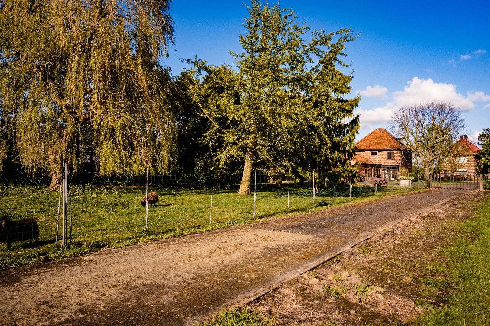 Karaktervolle te renoveren woning met unieke verzichten  foto 17