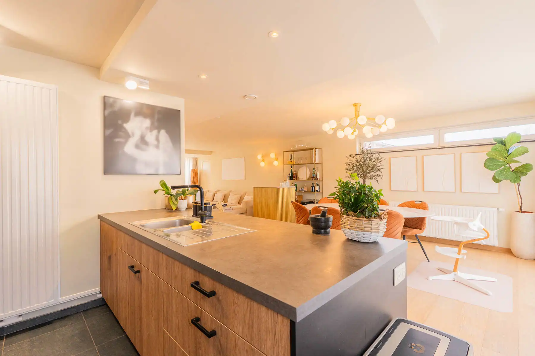 Ruim, energiezuinig appartement met terras, tuin en garage foto 8