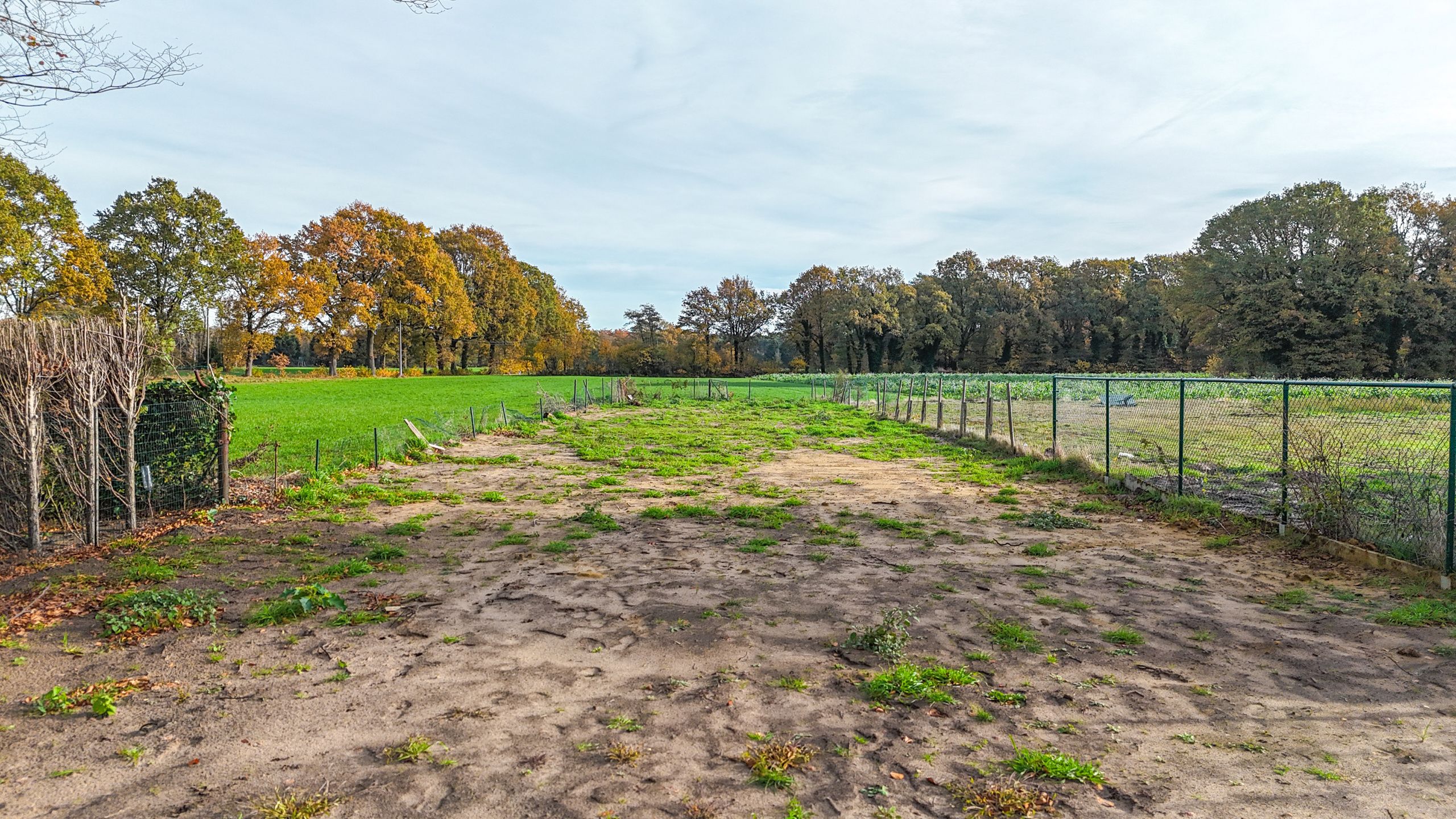 Te vernieuwen woning met 11a 87ca grond in Heusden-Zolder! foto 6