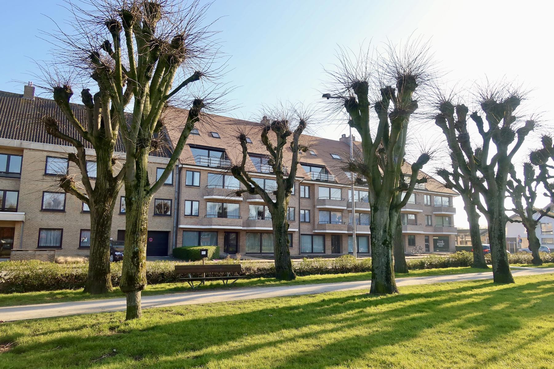 ()=>{if(producerUpdateValueVersion(node),producerAccessed(node),node.value===ERRORED)throw node.error;return node.value} Hulstplein 34/7 - 8700 Tielt
