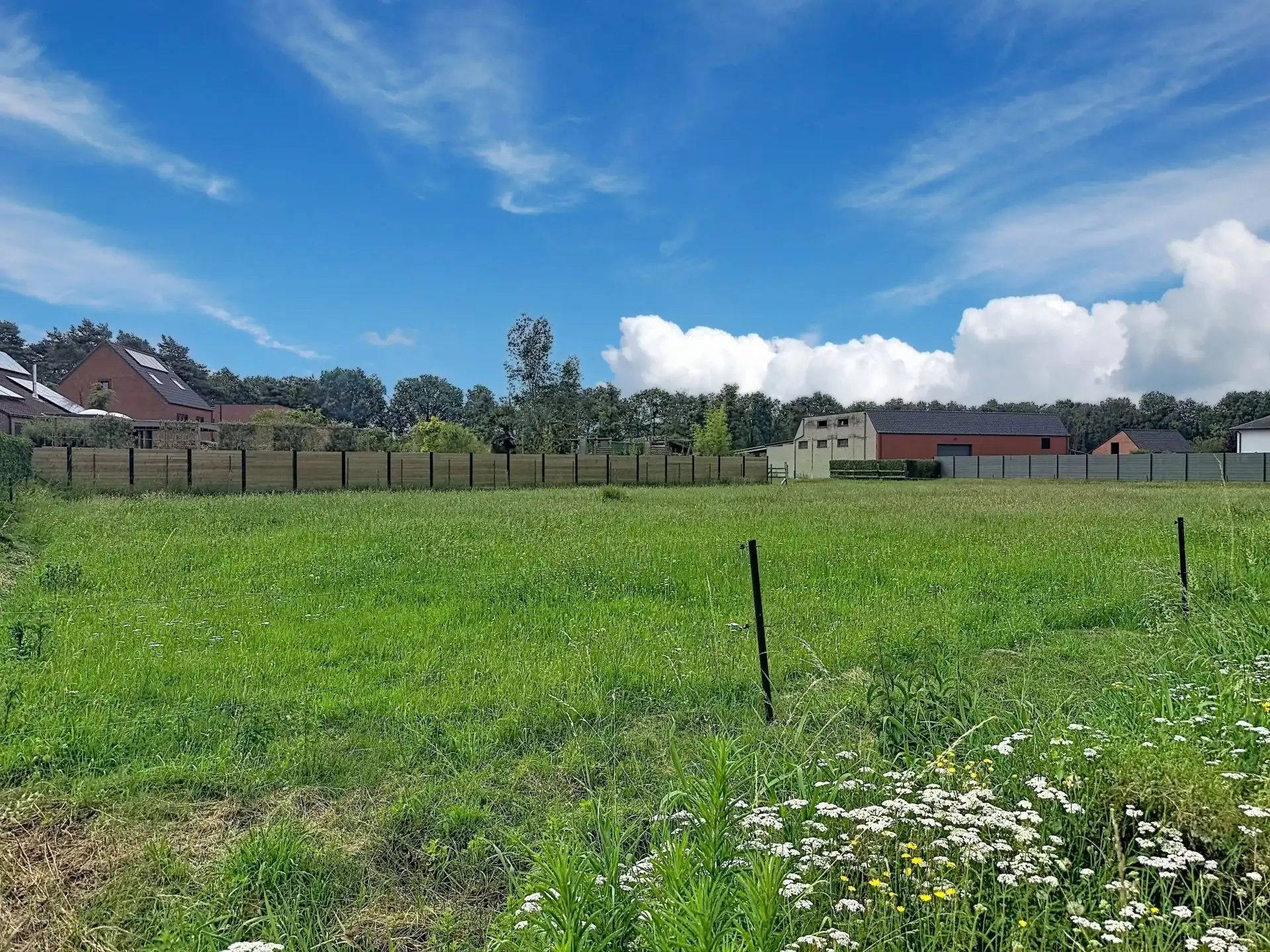 Prachtige bouwgrond van 1.340 m² op een landelijke ligging nabij Mol en Balen. foto 3