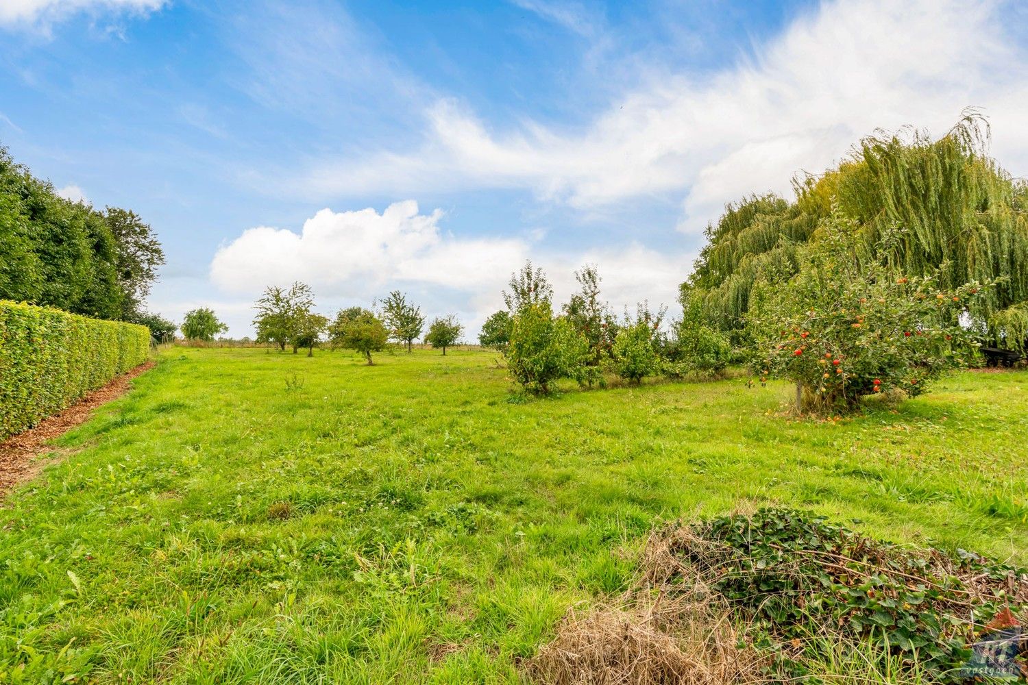 Exclusieve Spaanse villa met karakter en ruimte midden in het groen foto 32