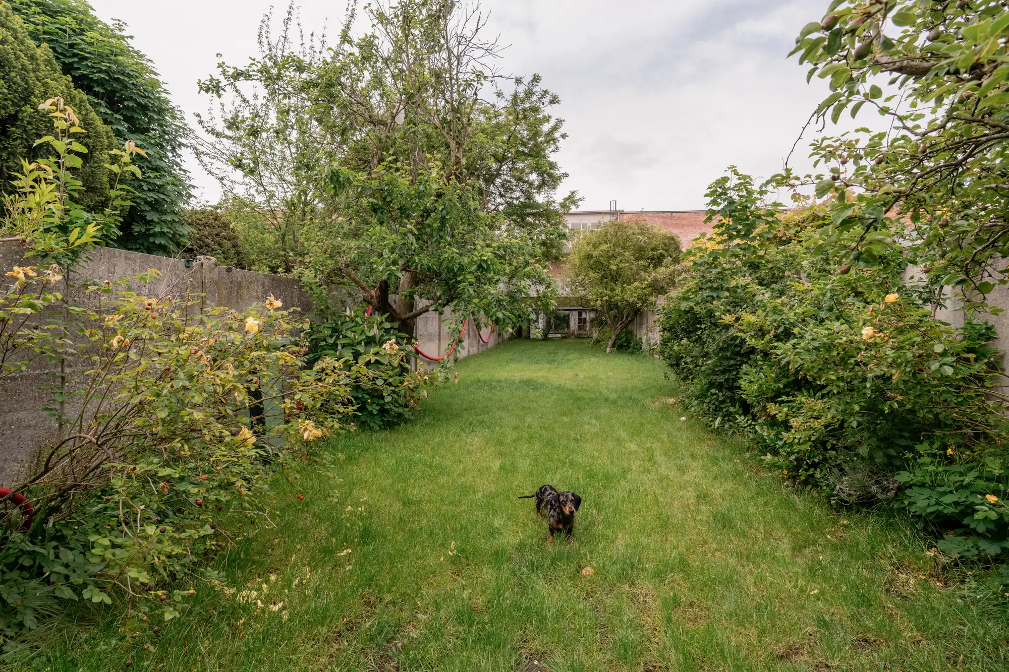 Volledig gerenoveerde woning. Eerste bewoning. Vijf slaapkamers. Een tuin die maar niet stopt. foto 6