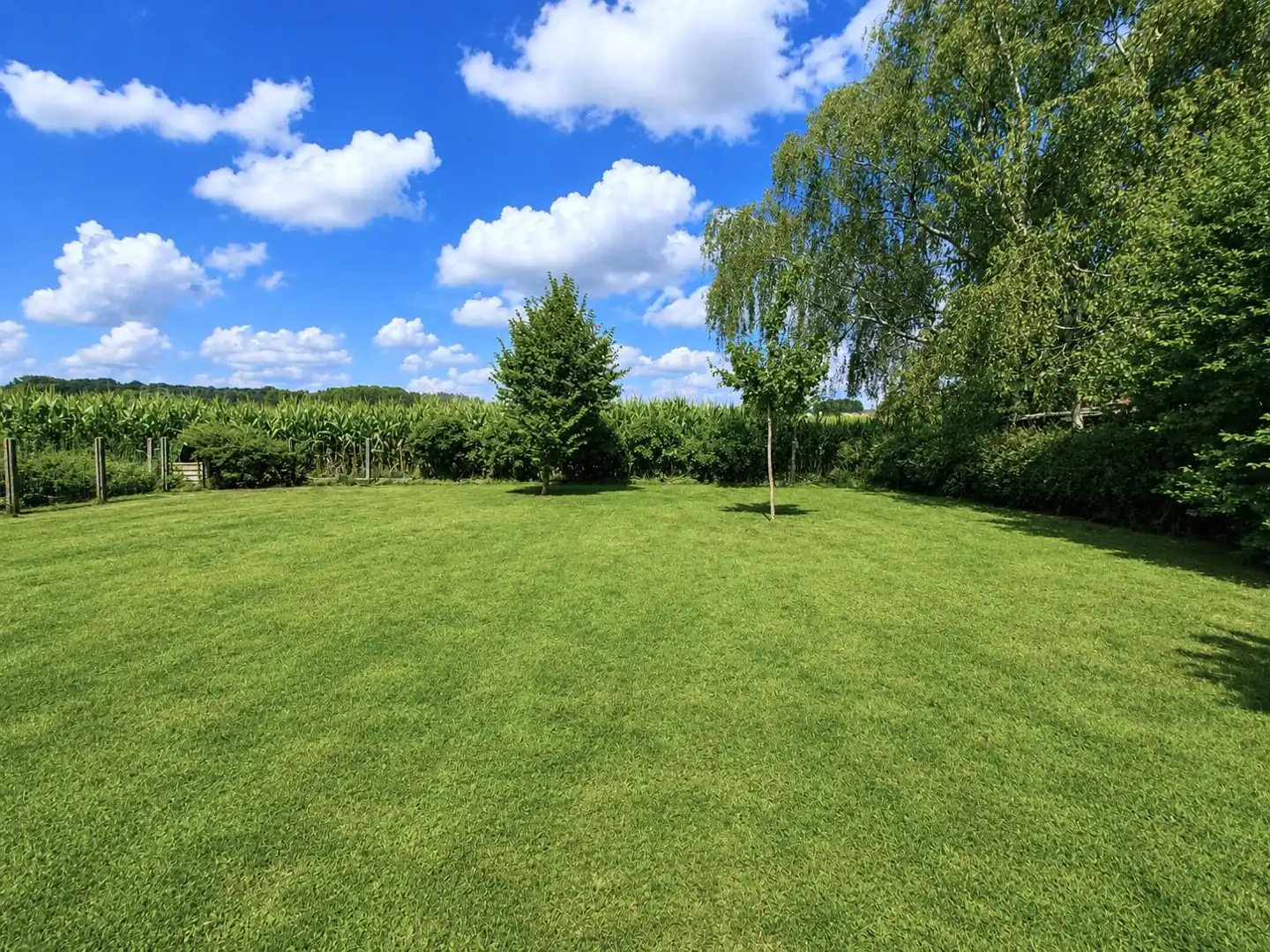 In een landelijke omgeving bevindt zich deze grondig gerenoveerde woning op een mooi perceel van 1.102 m². foto 7
